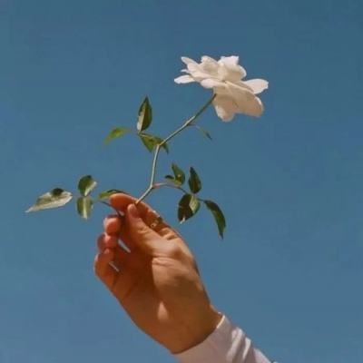 万剑斩仙游戏下载